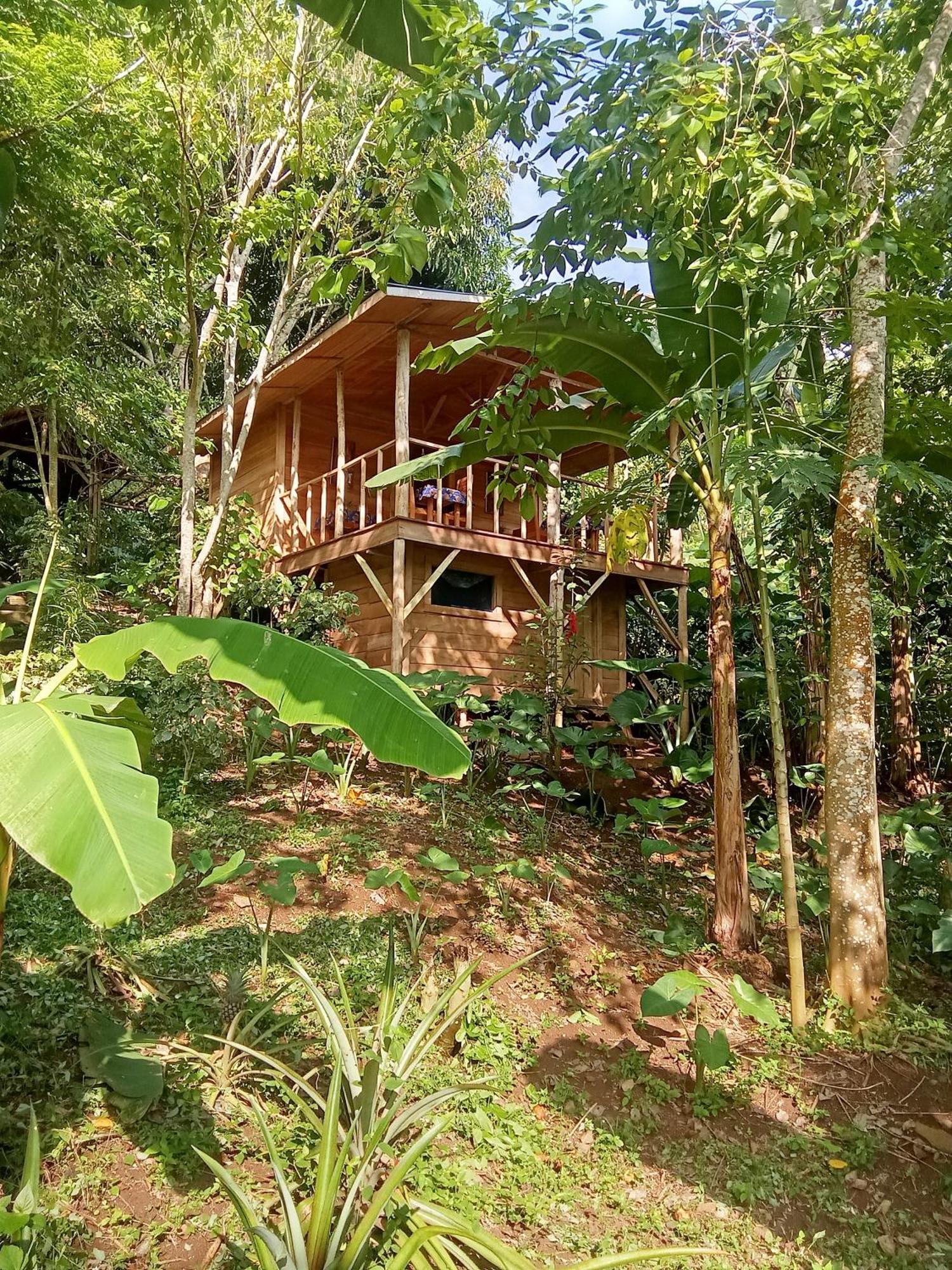 Villa Eco-Por Rio do Ouro Exterior foto